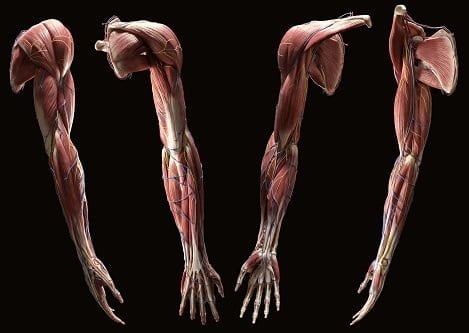 Zency konkrete øvelser mod musearm og forebyggelse heraf