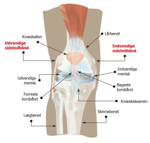 korsbåndsskade massage