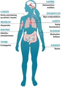 Stress Symptomer Kroppen