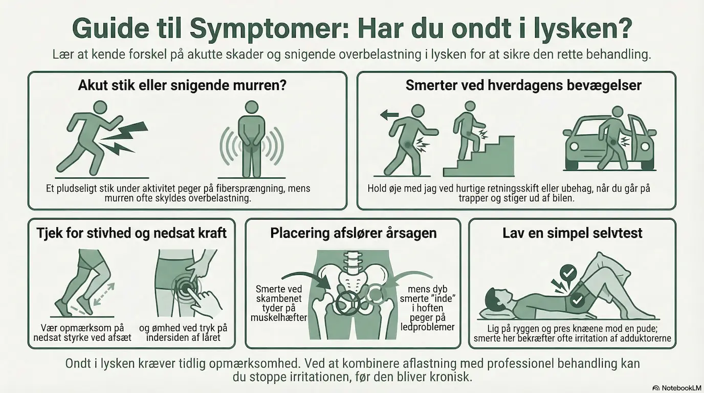 Ondt i lysken symptomer og årsager Zency Massage